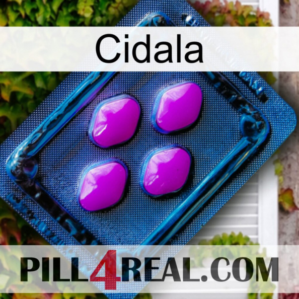 Cidala 04.jpg